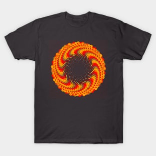 Red Yellow Flower / Phyllotactic Spirals T-Shirt